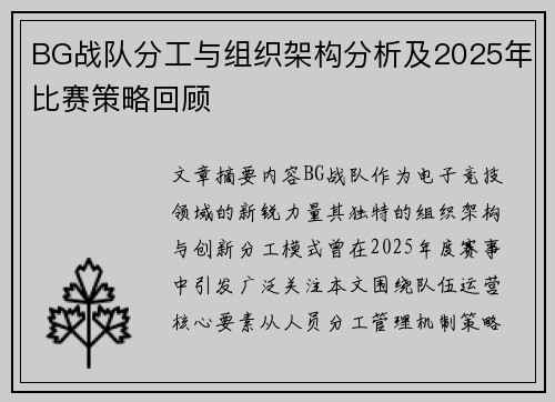 BG战队分工与组织架构分析及2025年比赛策略回顾